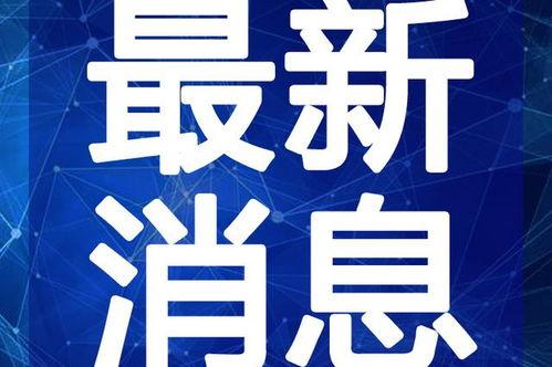 电商老卢最新爆料视频,最新爆料视频深度解析