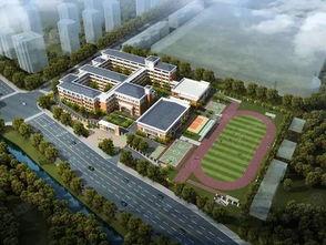 中大轻纺城爆料案件最新,案件进展追踪，真相渐明