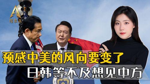 中美日韩最新爆料,科技巨头暗战与市场风云再起